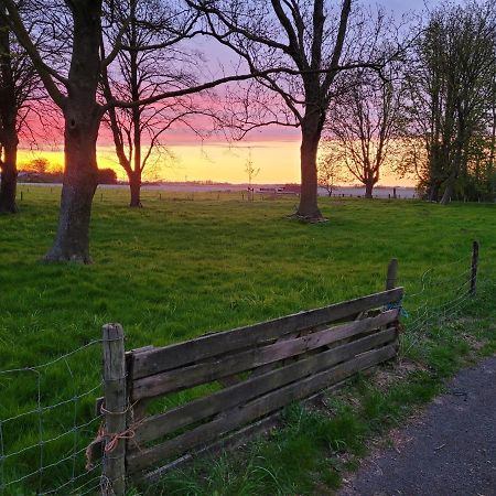 Vakantiehuis Aan Het Bos - Gelegen Aan De Tulpenroute Bant 外观 照片