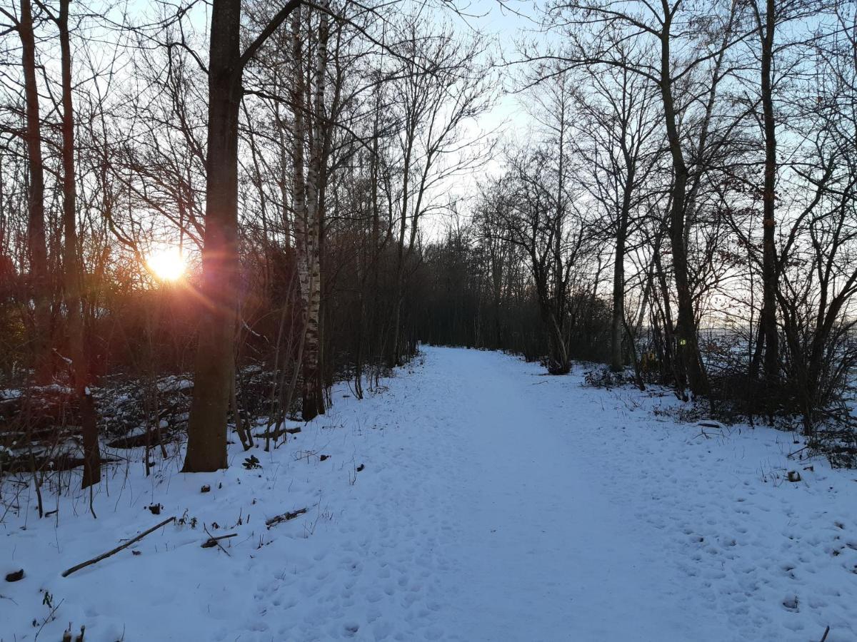 Vakantiehuis Aan Het Bos - Gelegen Aan De Tulpenroute Bant 外观 照片