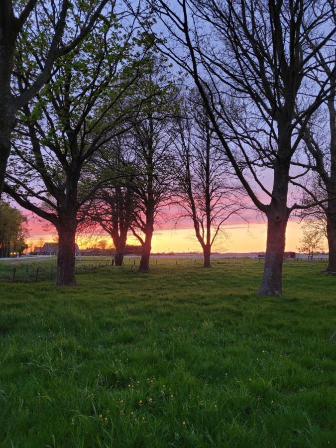 Vakantiehuis Aan Het Bos - Gelegen Aan De Tulpenroute Bant 外观 照片
