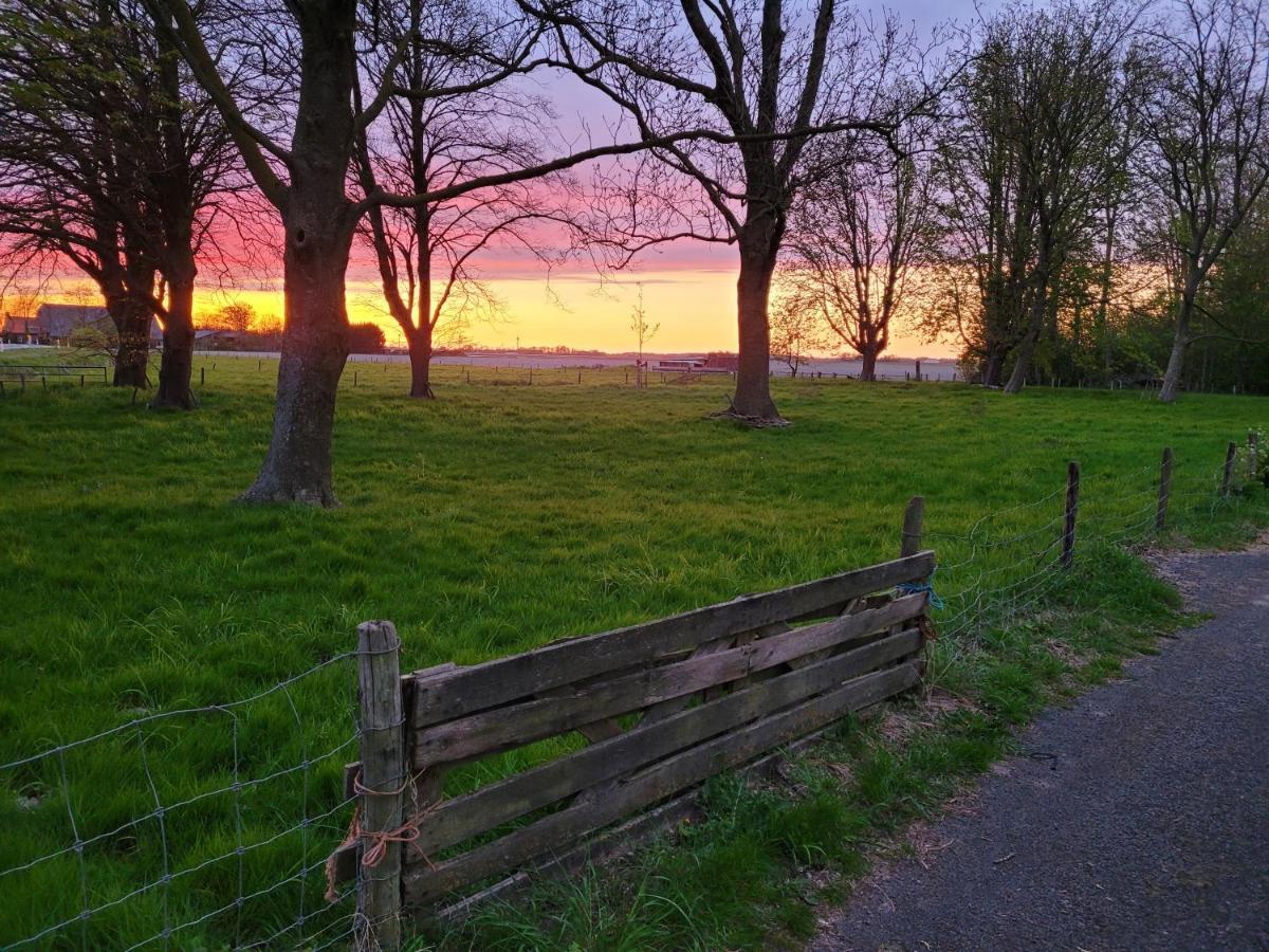 Vakantiehuis Aan Het Bos - Gelegen Aan De Tulpenroute Bant 外观 照片